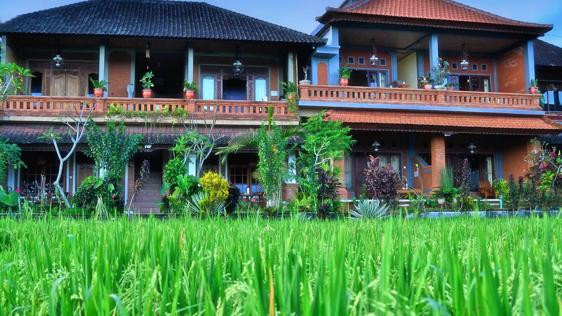 Danasari Homestay 2*, Ubud (Bali) Indonesia