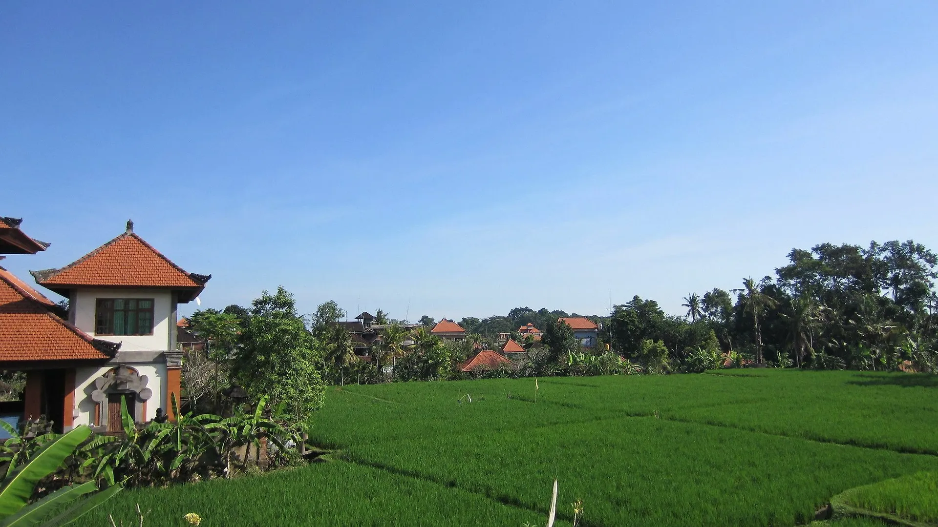 ** Maison d'hôtes Danasari Homestay Ubud Indonésie