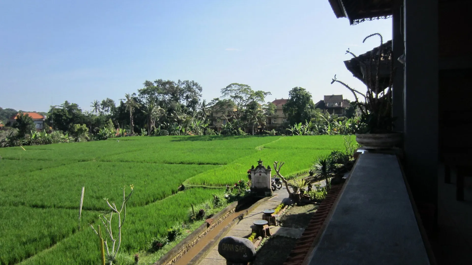 Danasari Homestay Ubud Indonesië