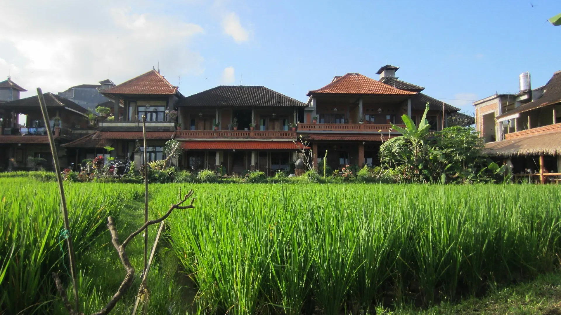 Danasari Homestay Ubud